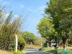 -恒大世纪梦幻城