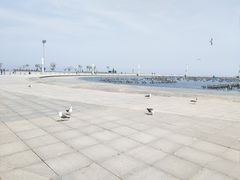 -东港音乐喷泉广场