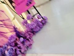 -PARFUM FLORAL花境法餐(南京首店)
