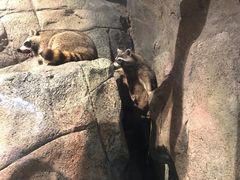 -哈尔滨波塞冬海底世界