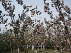 -西海子公园