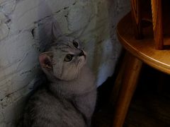 -不舍昼夜咖啡馆