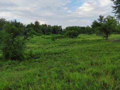 -昂昂溪遗址博物馆