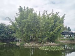 -庾园
