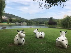 -上海佘山世茂艾美酒店
