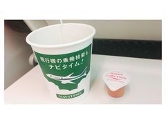 -全日本空输株式会社(上海办事处)