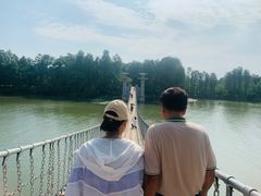 -东湖落雁景区