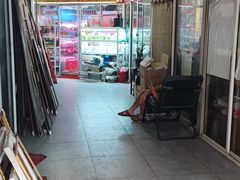 -曲阳花鸟市场(曲阳路店)