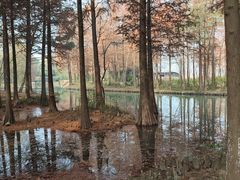 -中国湿地博物馆