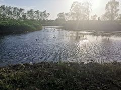 -大兴滨河森林公园