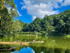 -深圳仙湖植物园