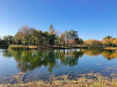 -东郊湿地公园