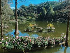 -深圳仙湖植物园