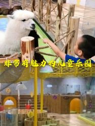 -七巧国萌宠乐园(龙湖天街店)