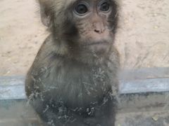 景点-西安世博园