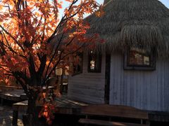 -Blue Concept Cafe&Farm·關於藍