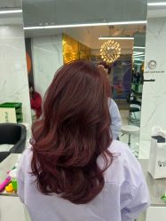 -潘多拉Hairsalon