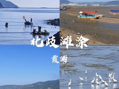 -北岐滩涂
