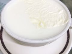 -义顺牛奶公司(新马路老店)