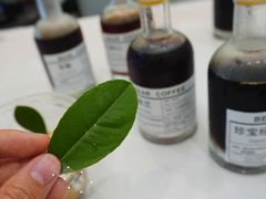 -BIRR COFFEE小熊咖啡(鸿瑞店)