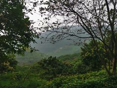 -广州市石门国家森林公园