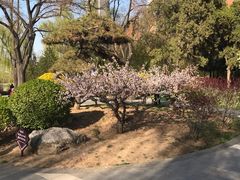 -迎泽公园