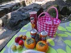 -广州白江湖森林公园