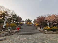 -大兴滨河森林公园