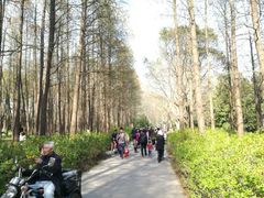-共青国家森林公园-售票处