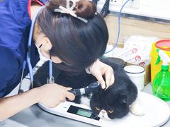 -爱侣宠医·鹦鹉专科·小型哺乳类·异宠专科(灵石路店)