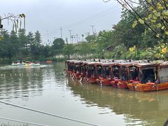 -江门古劳水乡旅游区