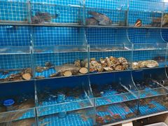 -宾朋海鲜饭庄(兴海路店)