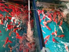 -三旗百汇商品城