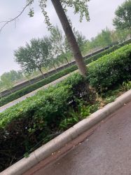 -HEYAN长风荷妍专业脱毛美肤
