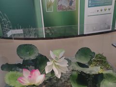 -同里国家湿地公园