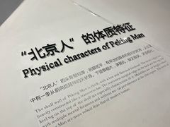 -北京周口店北京人遗址博物馆