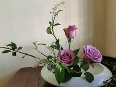 -小茶闲舍·观景商务茶馆(广州塔店)