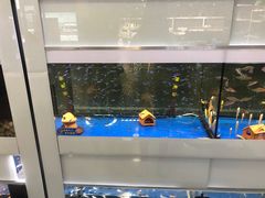 -万达广场(泰安泰山店)