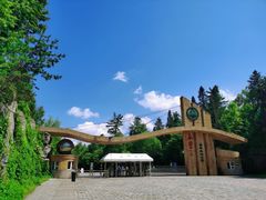 -五营红松林海景区