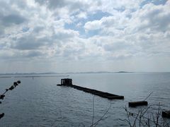 -贡湖湾湿地公园