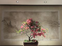 -扬州大运河文化旅游度假区·盆景园