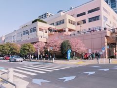 -台场海滨公园船码头