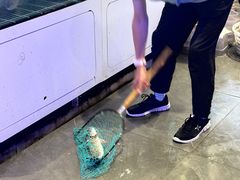 -巧克力渔家.小船海鲜家常菜(三浴场店)