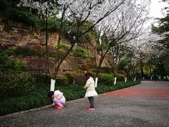 -百林公园-两江幸福广场