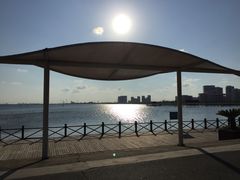 -碧海金沙