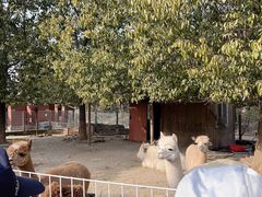 -武汉紫薇都市田园