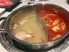 鸳鸯锅-新一哥粤菜火锅(瑞金店)