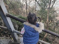 -紫金山山顶公园