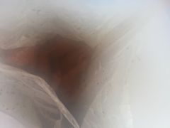 -鸡脚旮旯平江路店
