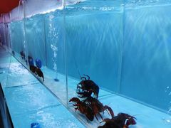 -虾弄弄海派小龙虾·牛羊蝎子火锅